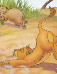 Kopa