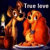 lkjgh.gif Lady and the tramp image by Infinity_On_High