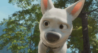 BoltAnimation.gif Bolt ears image by ToxicHedgie