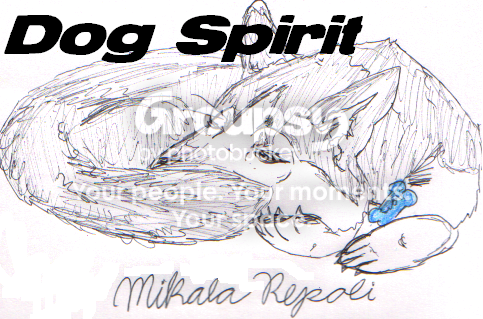 Dog Spirit