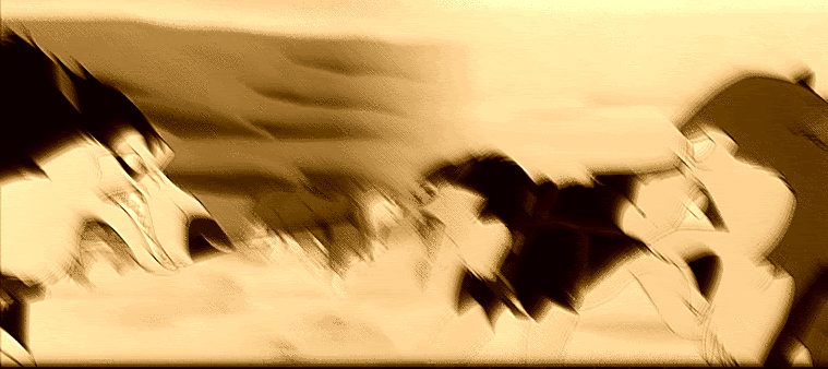 theraceofyourlife.gif the race of your life picture by aza666
