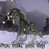 WolfDog.jpg Wolf Dog picture by aza666