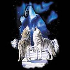 wolves-1.jpg picture by aza666