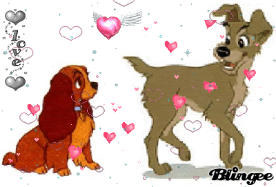 150207785_1008078.gif lady and the tramp image by dbz_animal_lover