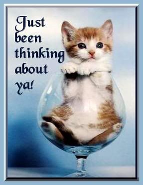 cat.jpg cat image by pinkinchrist