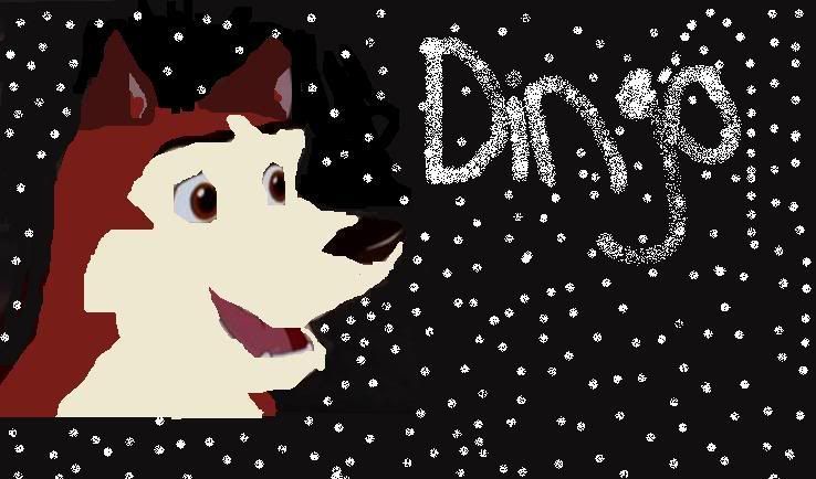 DingoHusky
