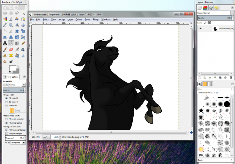 Image