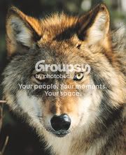 Silent Wolf