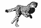 Cheetah-02-june.gif cheetah running image by poj269