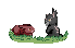 pixel