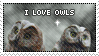 Stamp: Owls (Prize) by OtterAndTerrier