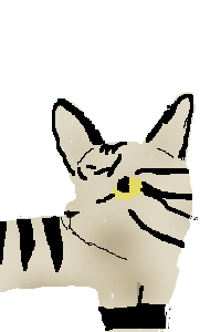 longtail.jpg