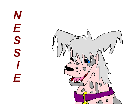 NES.PNG