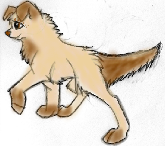 Doggie 4 adption.PNG