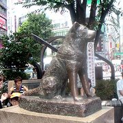 180px-Hachiko-Shibuya.jpg