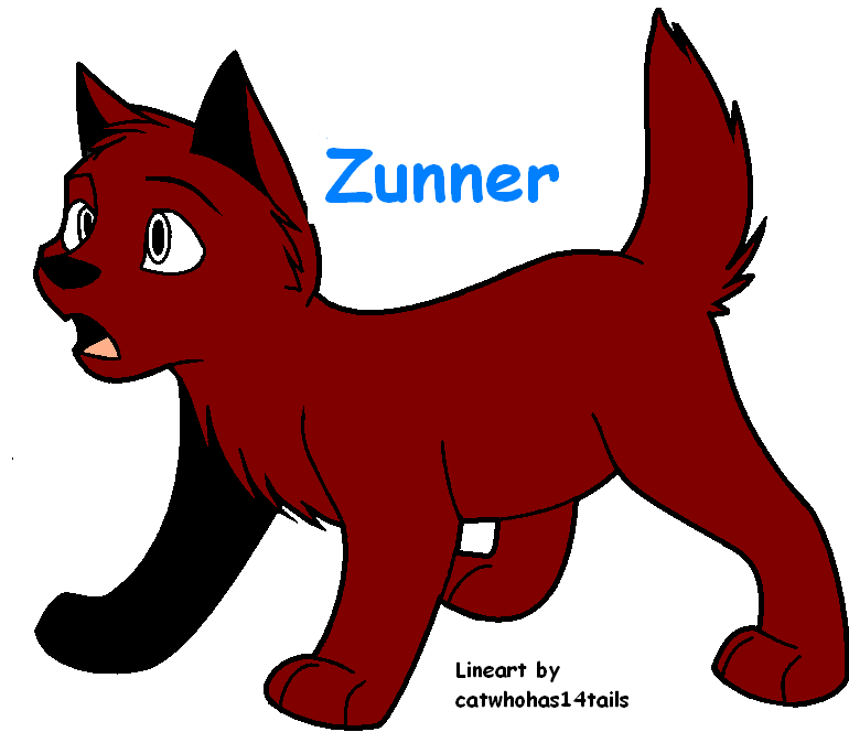 zunner.PNG