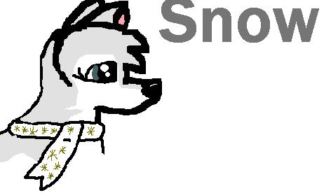 snowel.jpg