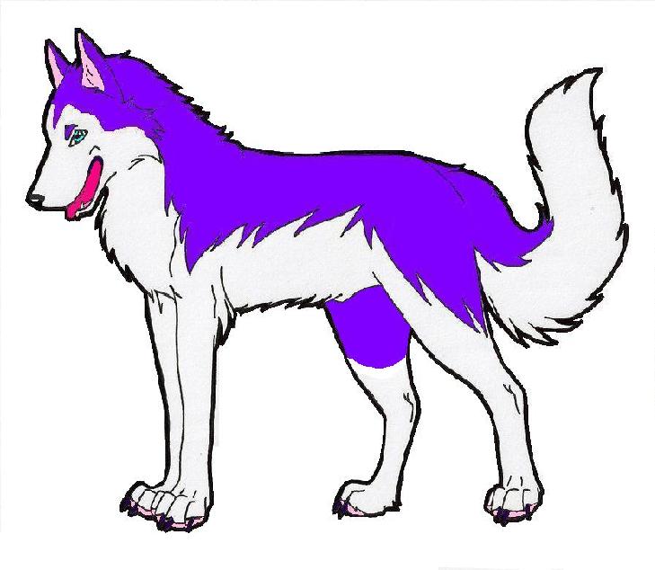 Siberian_Husky.jpg