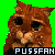 Puss to trans....PNG