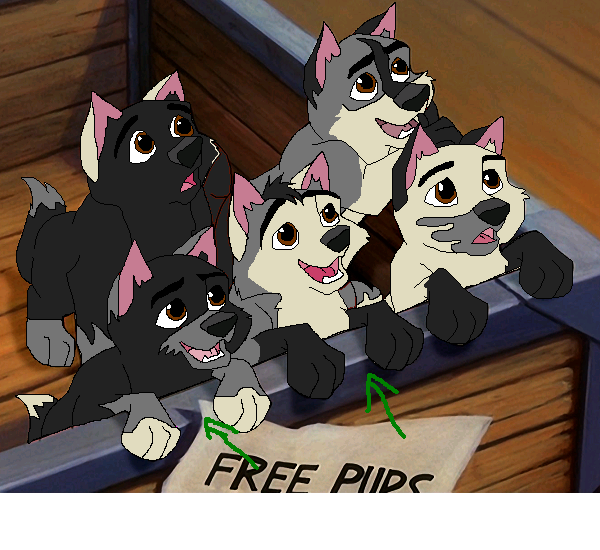 ma pups.PNG