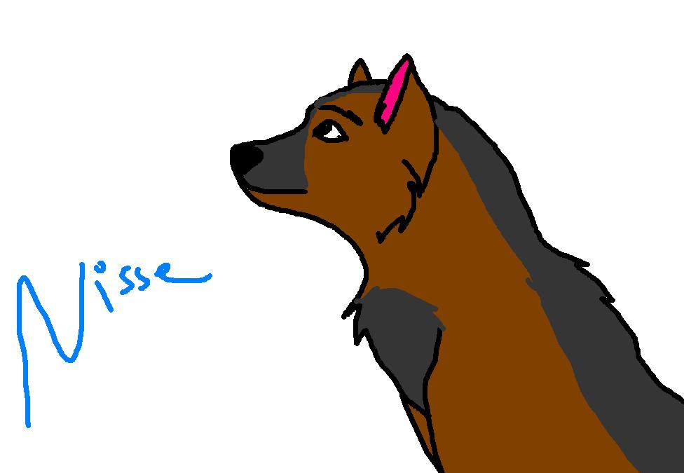Nisse.JPG