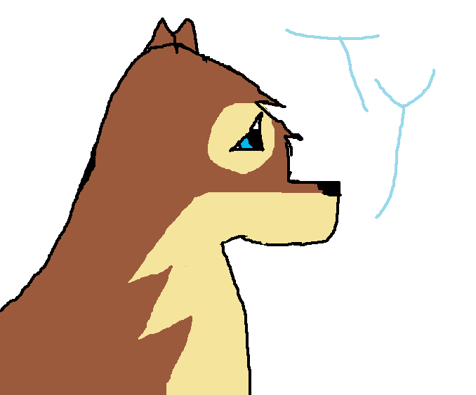 %00aaaty.png