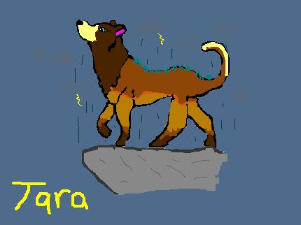 TARAAA.JPG