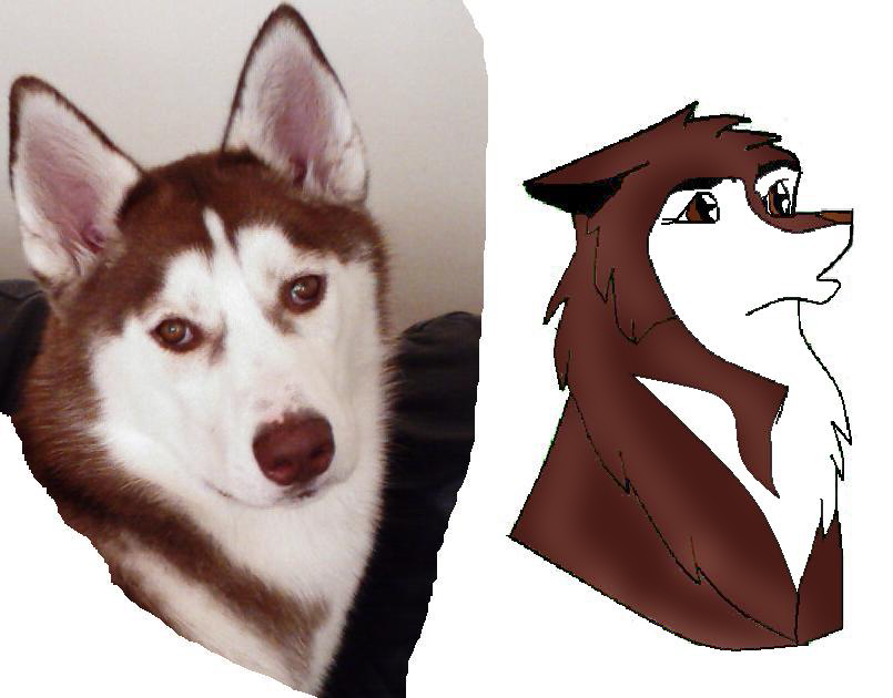 Tamba.jpg