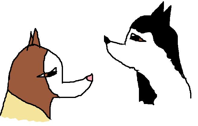 jhszksjghdghf.jpg