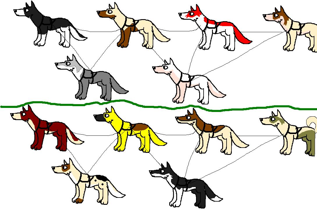 teamadoption3.JPG