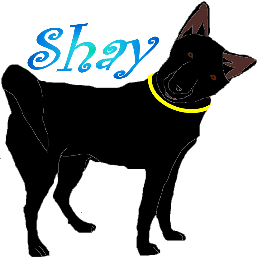 Shay.png