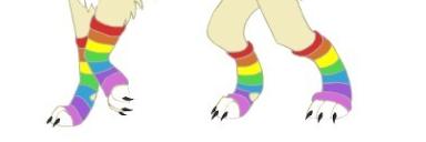rainbow socks from a wolf for adoption.JPG