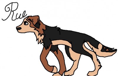 rue.jpg