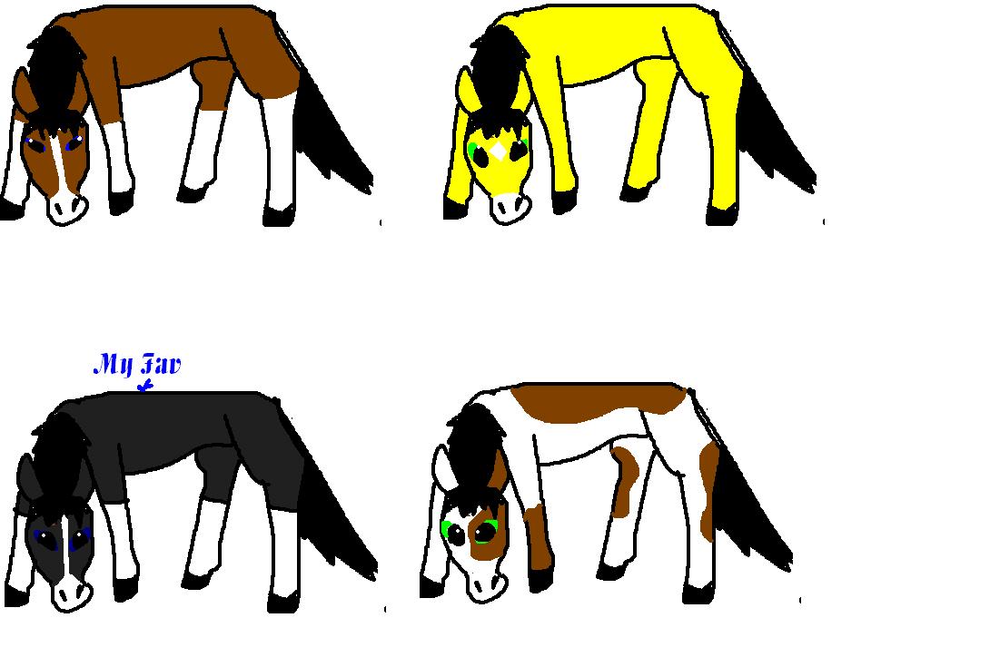 Horses for adoption.JPG
