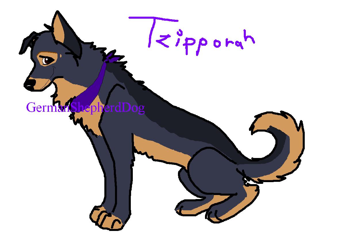 Tzippy.JPG