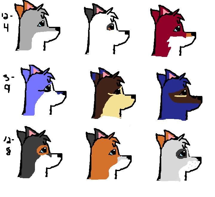 new2.jpg