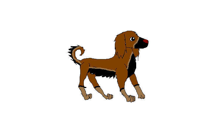 afgan.PNG