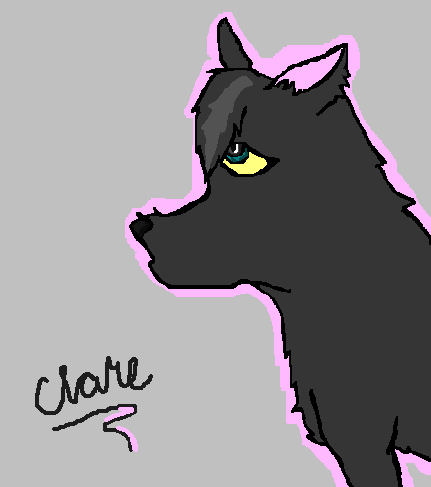 CLARE.PNG