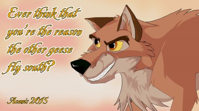 Balto2015-2.jpg