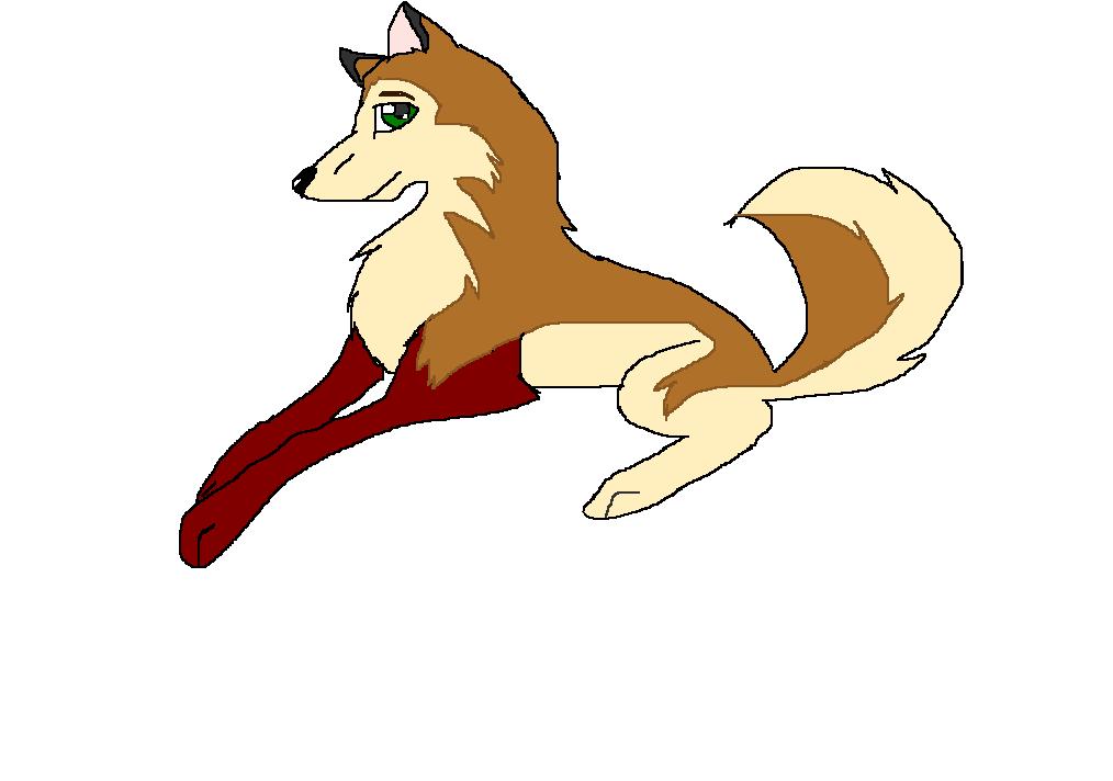 dog.JPG