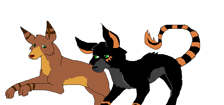 untitled.GIF