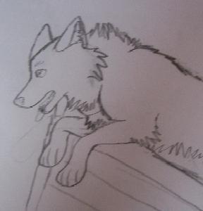 doodle.jpg