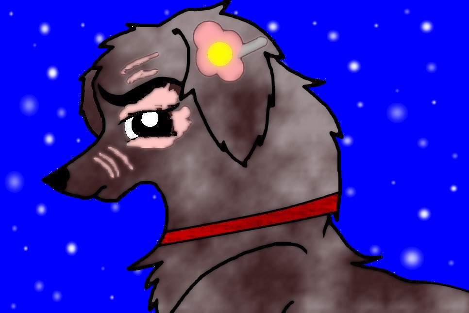 Milly.JPG