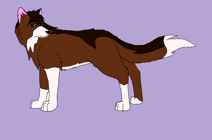 pair.png