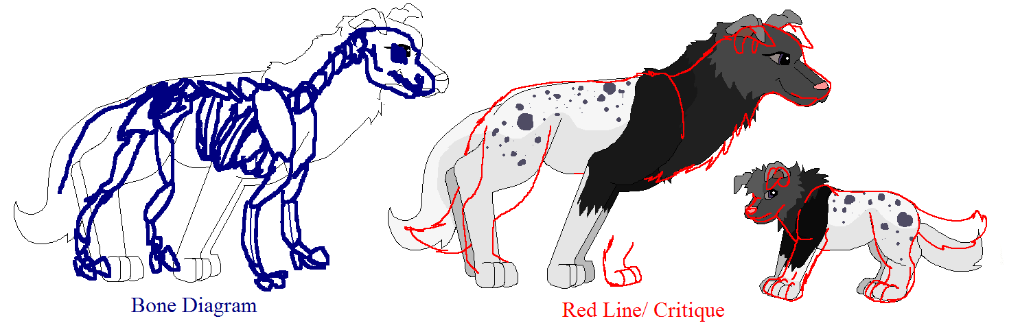 critique.PNG