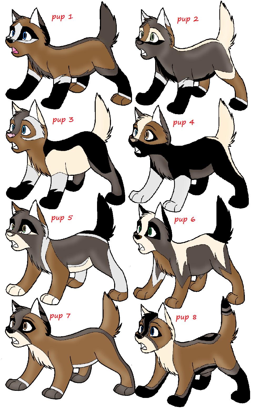 puppy litter.jpg