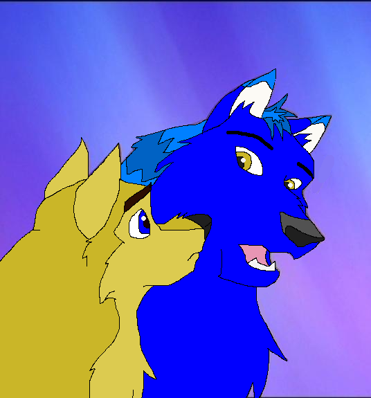 !@!!!.png