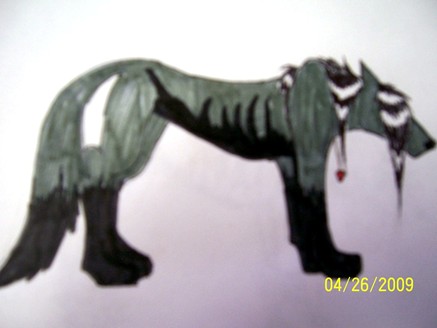 adoption wolfs 003.jpg