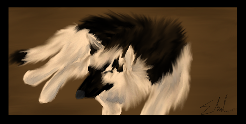 TillyPainted.png