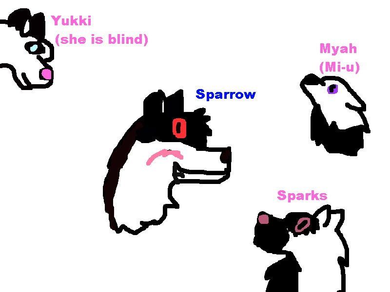 panda pups.png